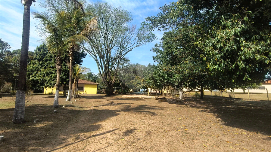 Foto REO1119663