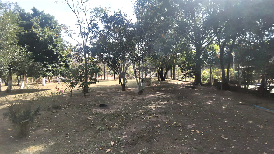 Foto REO1119663
