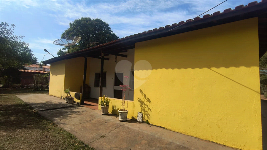 Foto REO1119663