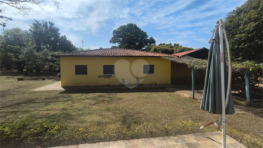 Foto REO1119663