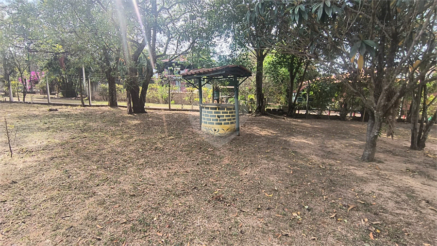Foto REO1119663