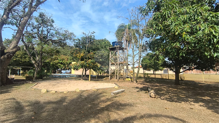 Foto REO1119663