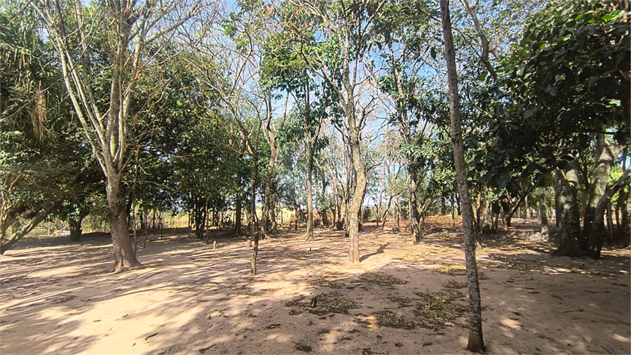 Foto REO1119663
