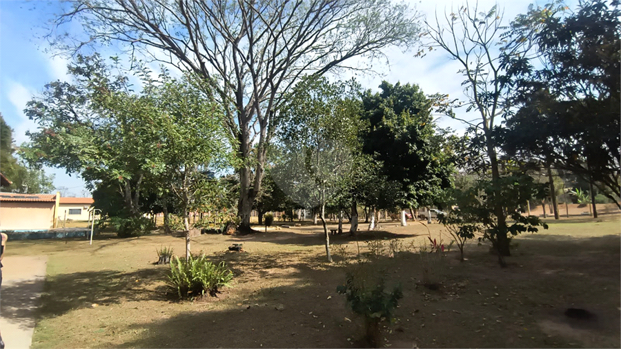 Foto REO1119663