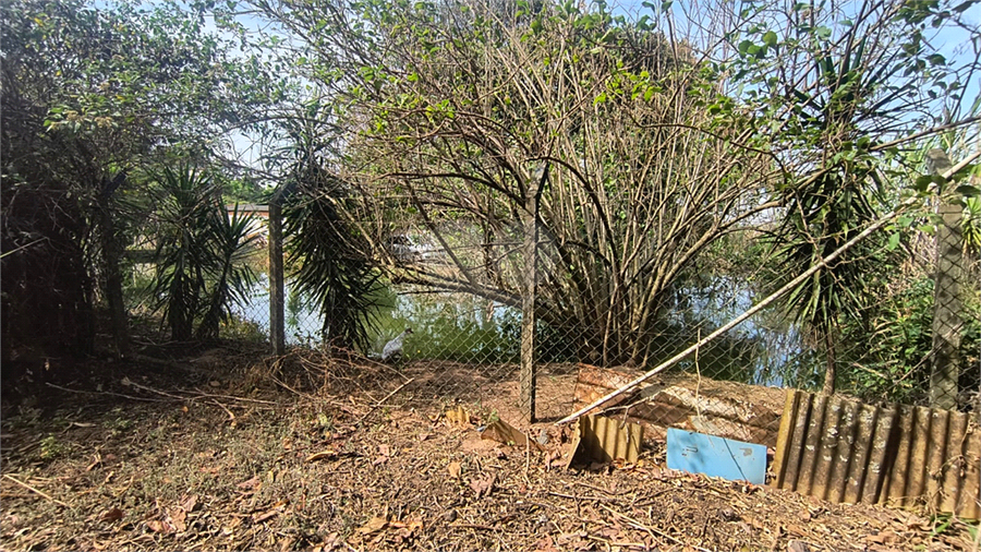 Foto REO1119663