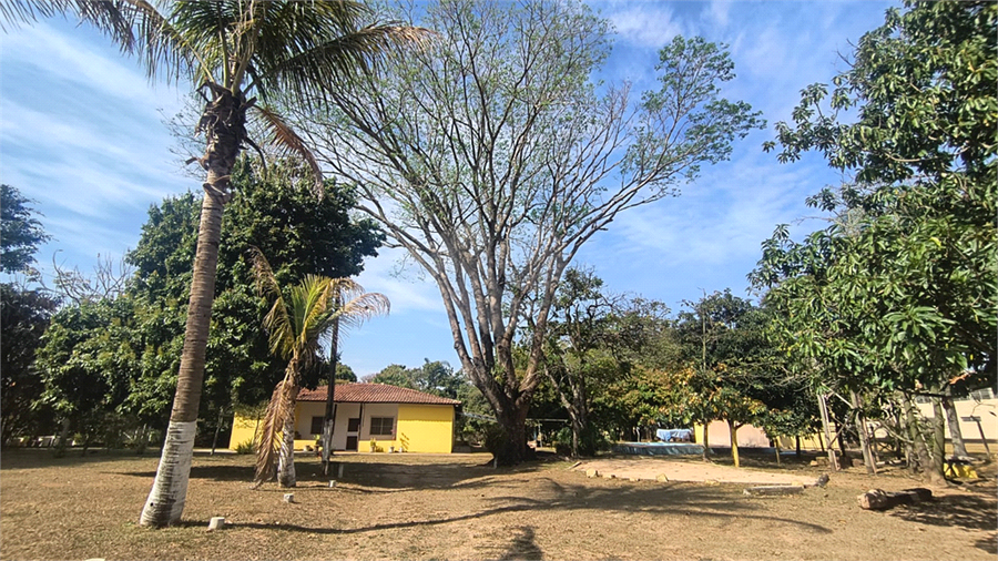 Foto REO1119663