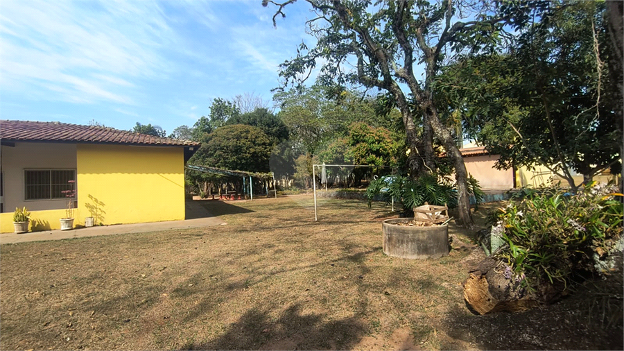 Foto REO1119663
