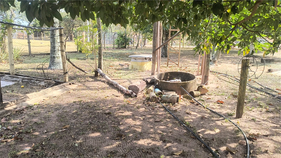 Foto REO1119663