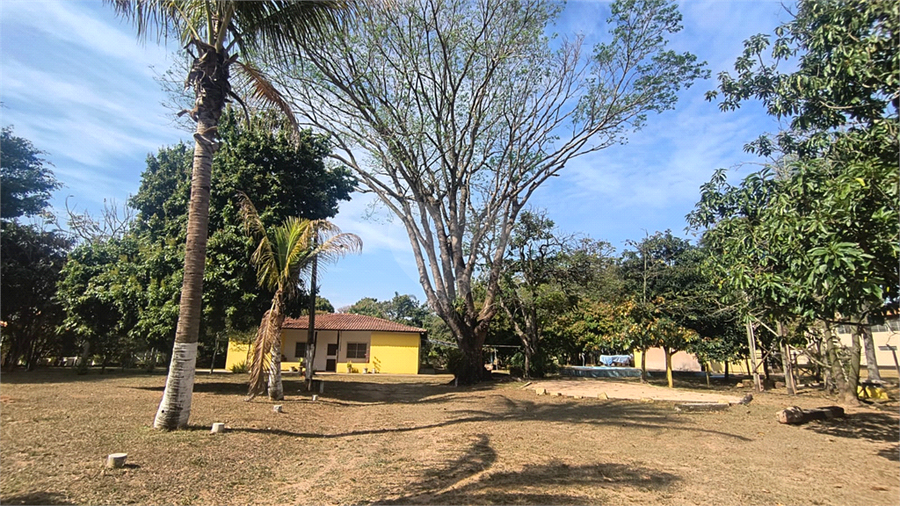 Foto REO1119663