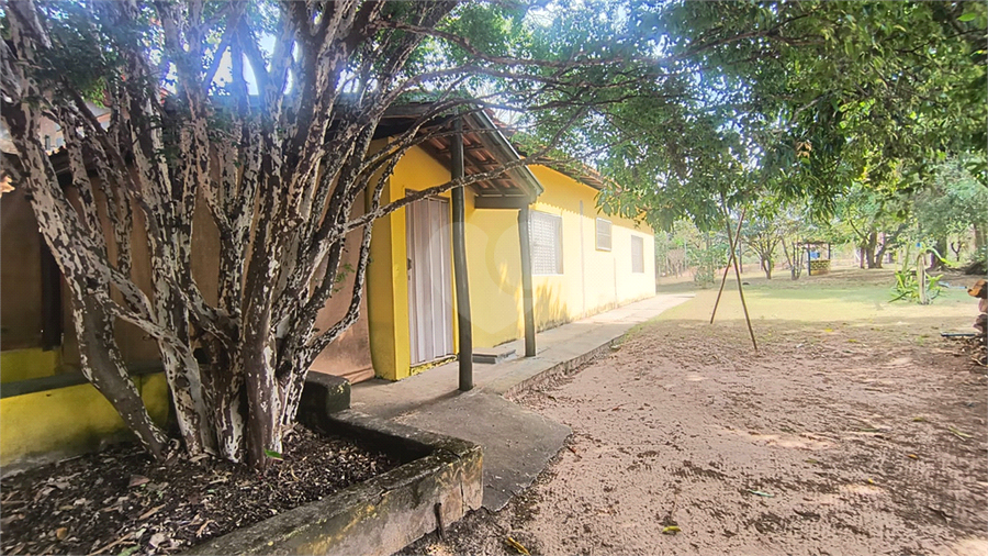 Foto REO1119663