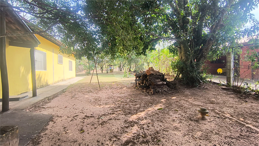 Foto REO1119663