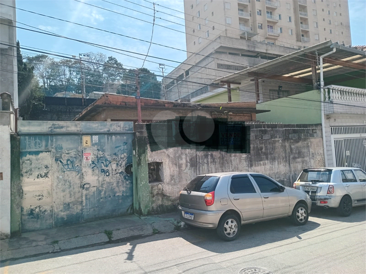 Foto REO1119679