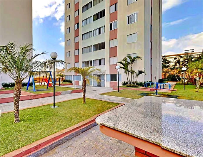 Foto REO1119682