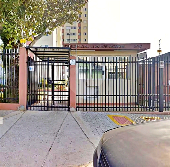 Foto REO1119682