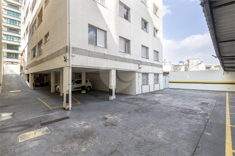 Foto REO1119688