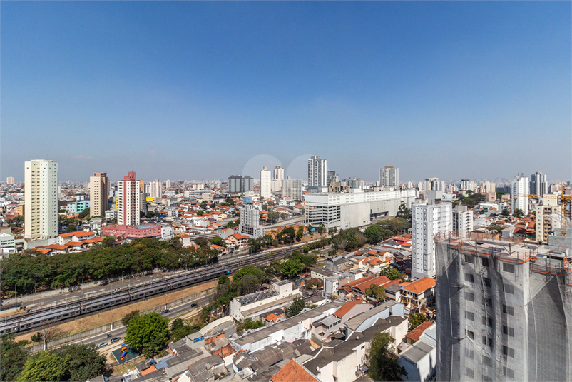 Foto REO1119692