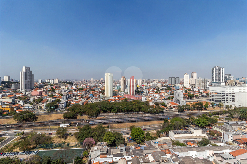 Foto REO1119692