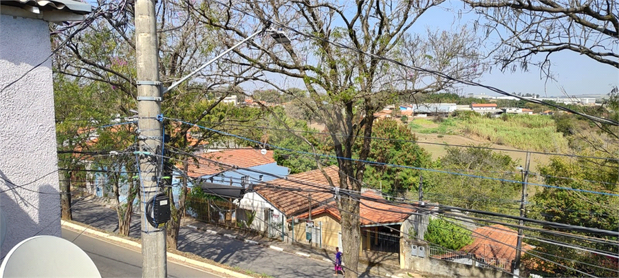 Foto REO1119705