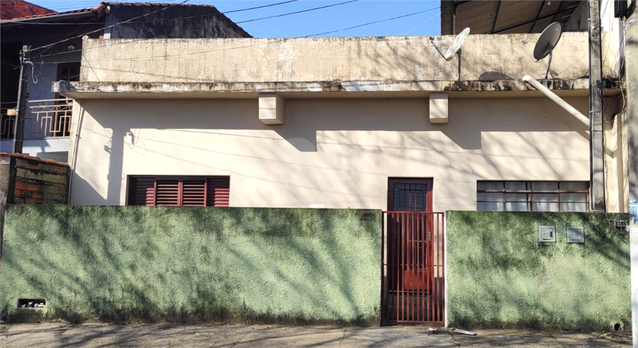 Foto REO1119705