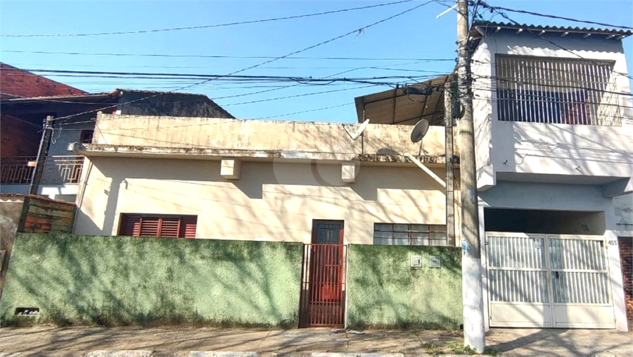 Foto REO1119705