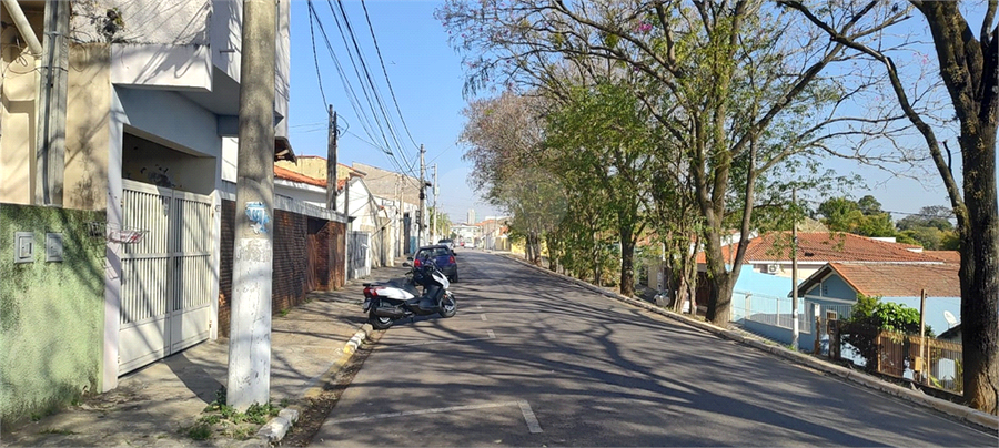 Foto REO1119705