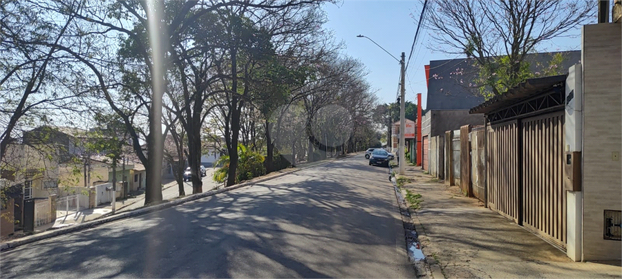 Foto REO1119705