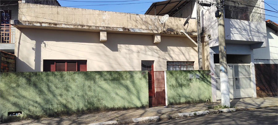 Foto REO1119705