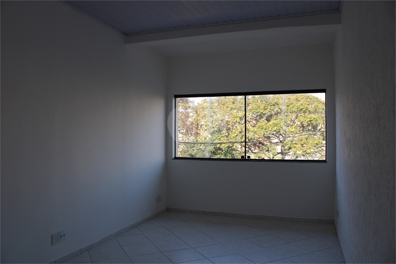 Foto REO1119707