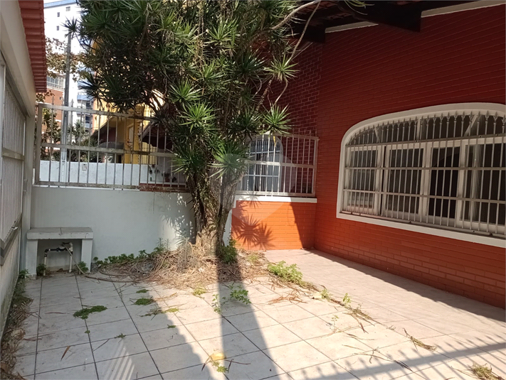Foto REO1119711