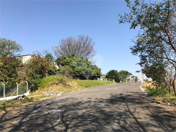 Foto REO1119725