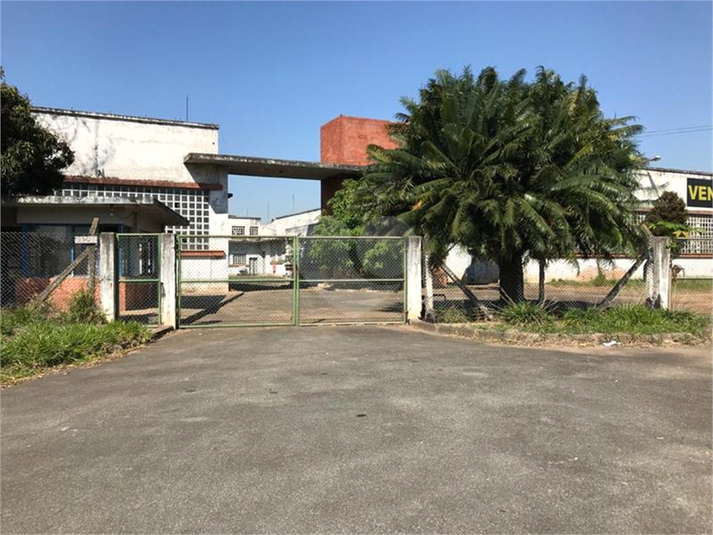 Foto REO1119725