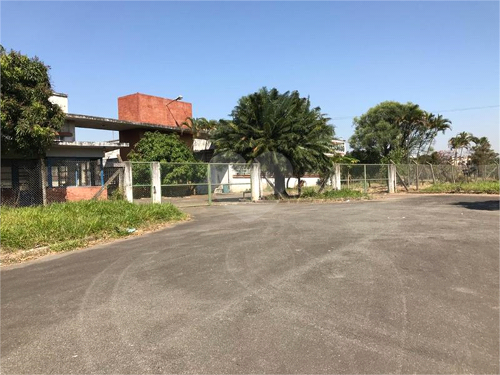 Foto REO1119725