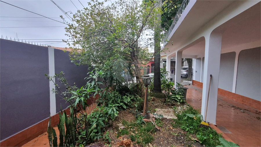 Foto REO1119730