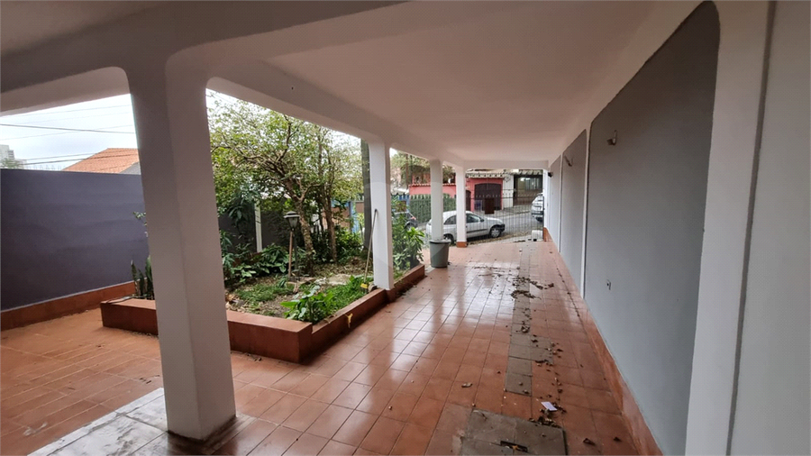 Foto REO1119730