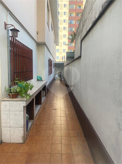 Foto REO1119747