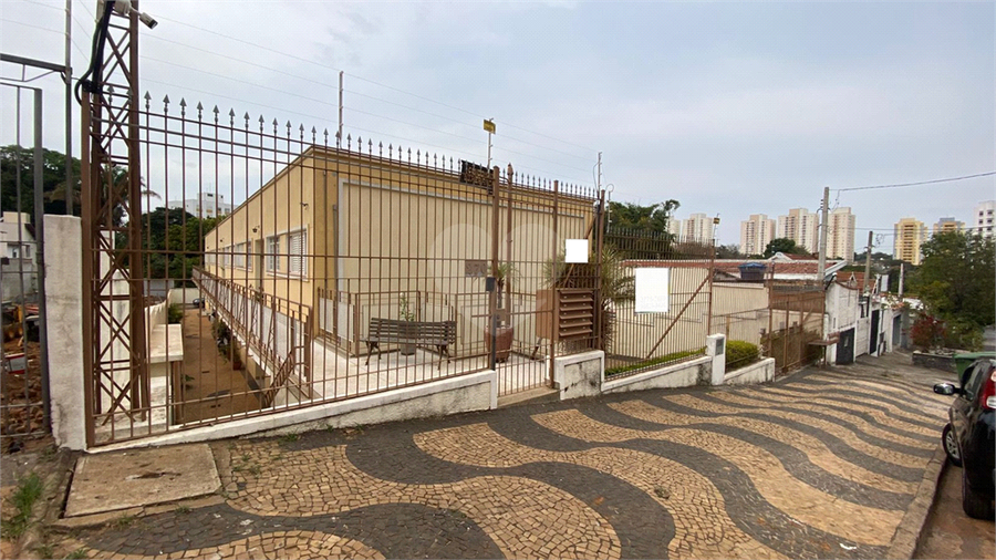 Foto REO1119748