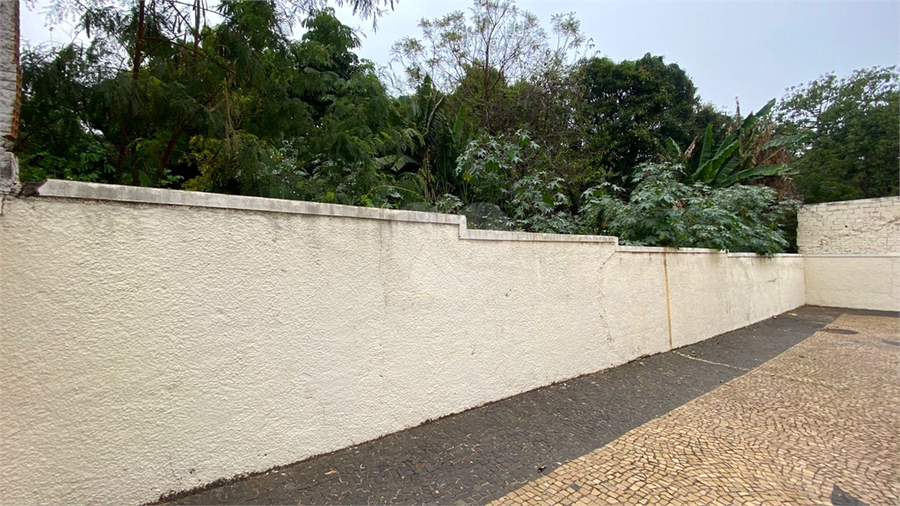 Foto REO1119748
