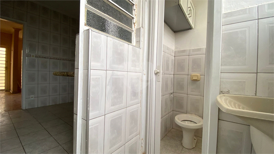 Foto REO1119748