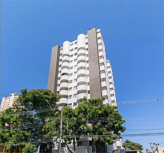 Foto REO1119750