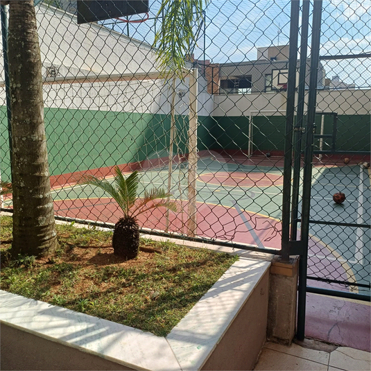 Foto REO1119761