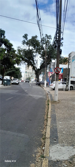 Foto REO1119766