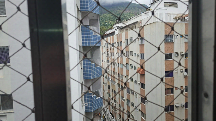 Foto REO1119771