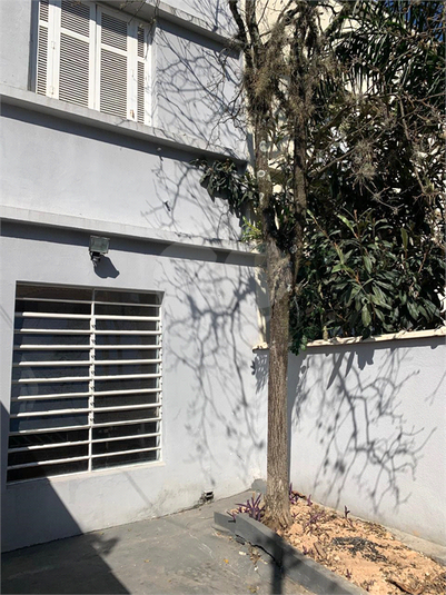 Foto REO1119788
