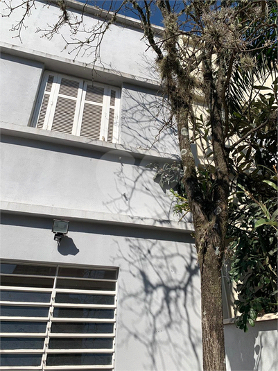 Foto REO1119788