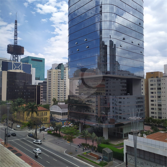 Foto REO1119792