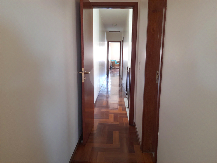 Foto REO1119803