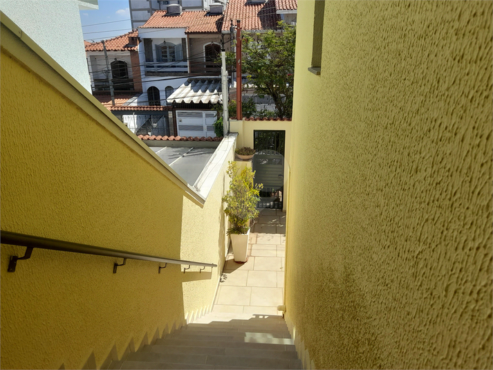 Foto REO1119803