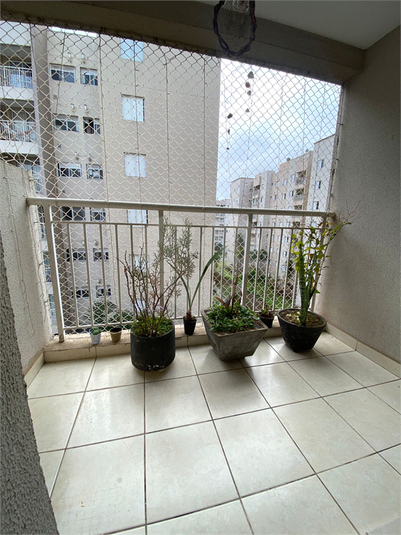 Foto REO1119805
