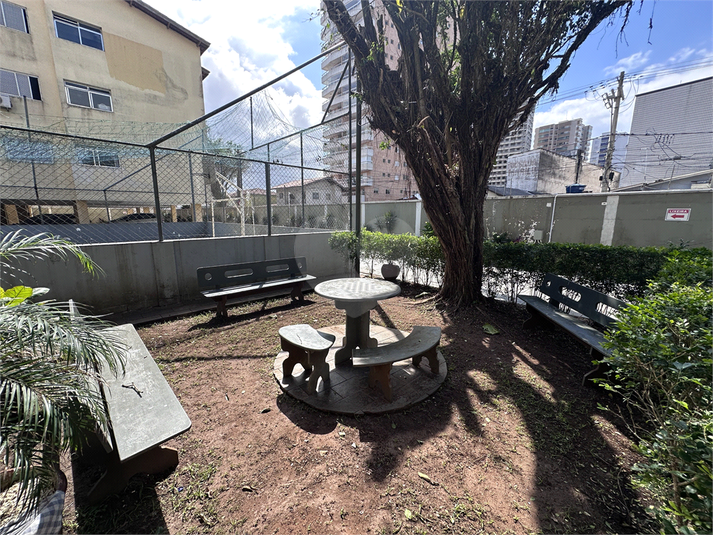 Foto REO1119818