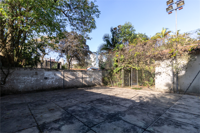 Foto REO1119822